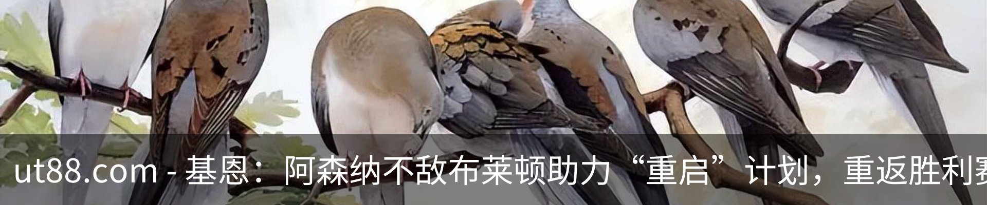 新闻中心