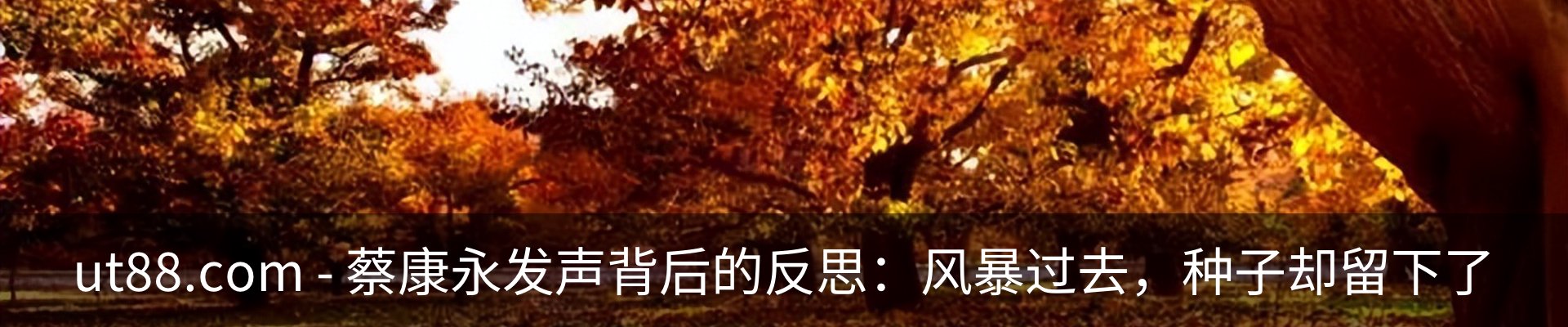 新闻中心